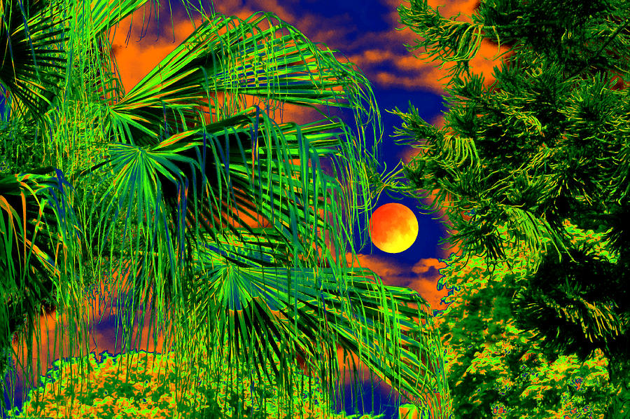 Moon Moods: An Artistic Journey through Nature's Nighttime Beauty